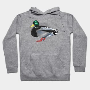 Mallard Duck - Male Hoodie